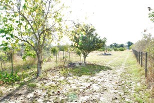 5 Acres On Empire Church Rd Groveland Fl 5 Acres On Empire Church Rd Groveland Fl